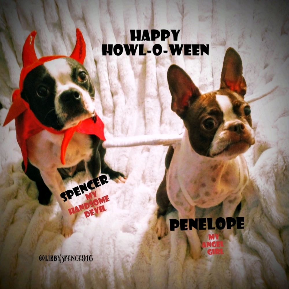 🎃👻Treats From Penelope & Spencer🐾🎃👻